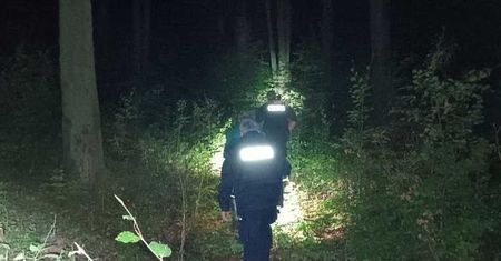 Poszedł na grzyby i się zgubił. Senior nie miał siły wyjść z lasu