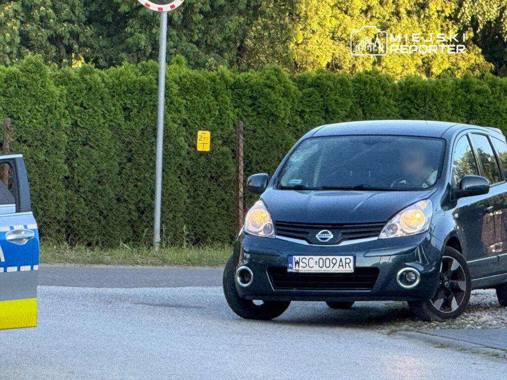 Czarny samochód osobowy zaparkowany przy drodze, obok znaku drogowym i gęstym żywopłotem.