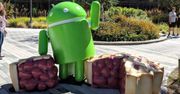 Android 9.0 na wybranych smartfonach Huaweia już dostępny. W redakcji właśnie się zainstalował