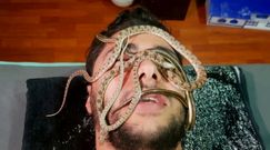 Masaż wężami. Nowa przerażająca usługa SPA