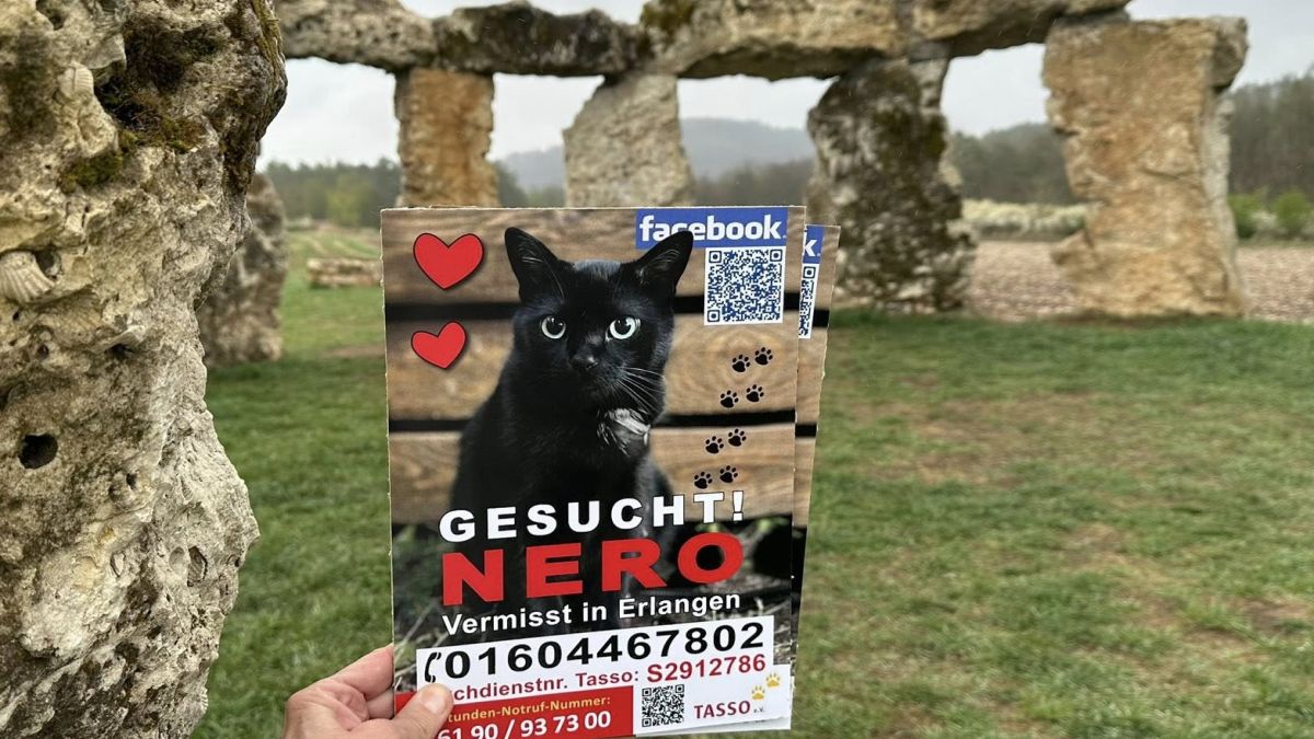 Nero zaginął 10 miesięcy temu