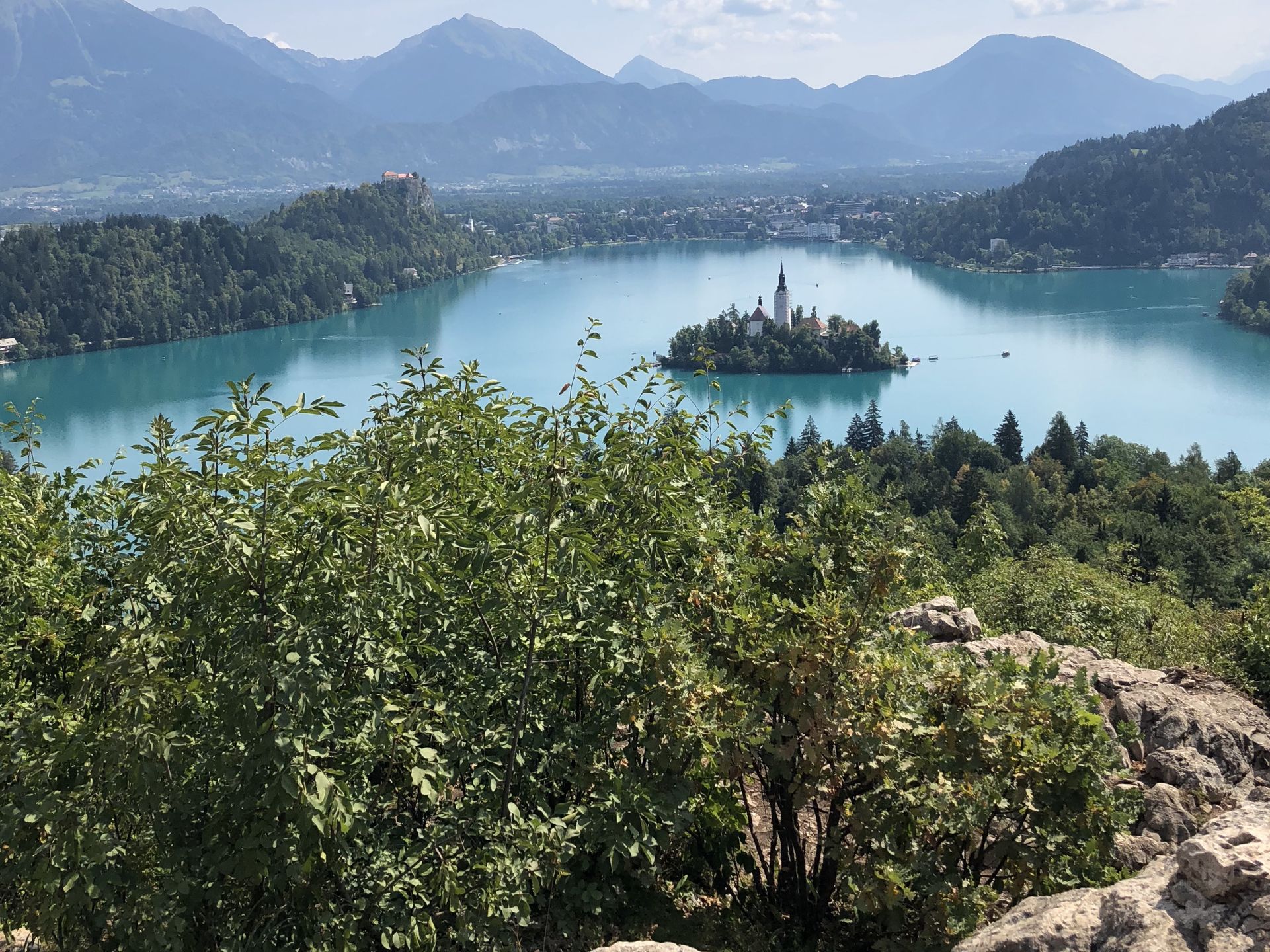 Bled