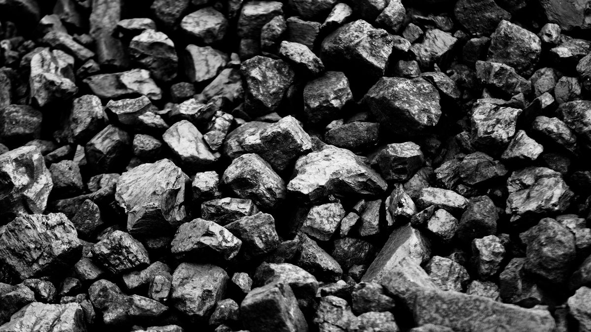 PGG zaskakuje promocją