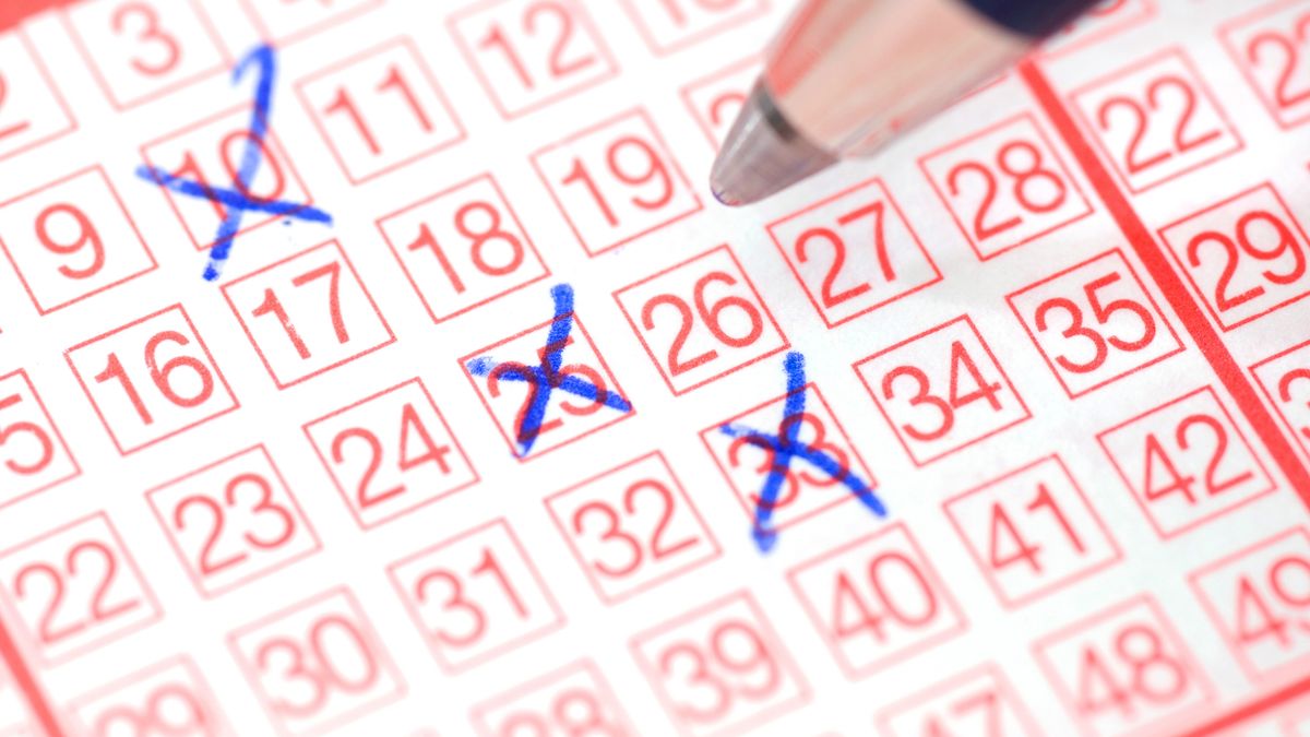 Wyniki LOTTO 10.11.2021 (Adobe Stock)