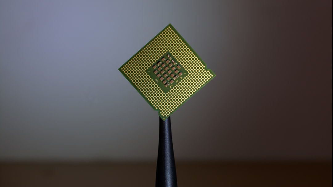 Chip