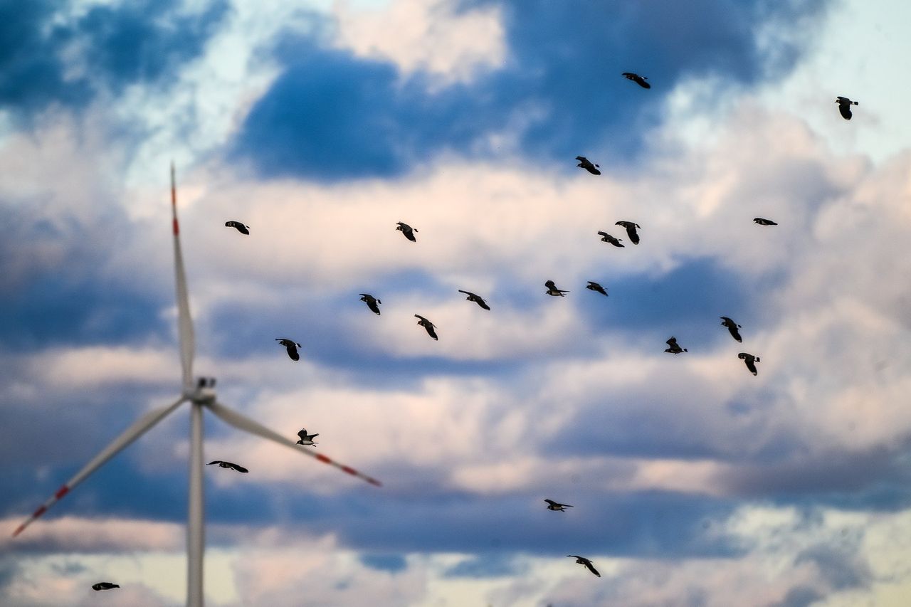 Gminie Ostaszewo: Przeciwnicy wiatraków chwalą wójta i radnych