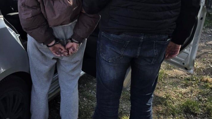 policja