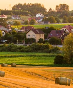 350 zł za tonę produktów ubocznych. Tak zarabiają rolnicy
