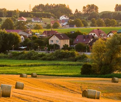 350 zł za tonę produktów ubocznych. Tak zarabiają rolnicy