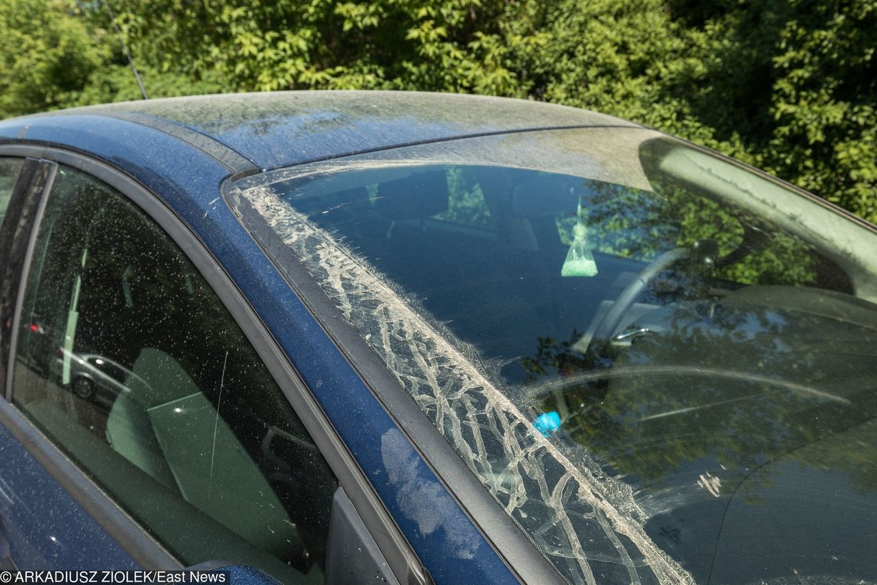 Nagle auto stało się brudne, zwłaszcza po opadach deszczu? Nikt nie wysypał na nie piasku - to tzw. pył saharyjski.