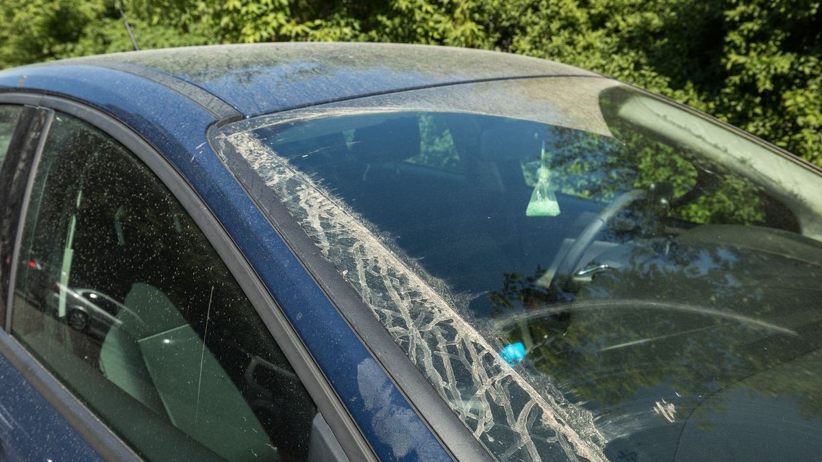 Nagle auto stało się brudne, zwłaszcza po opadach deszczu? Nikt nie wysypał na nie piasku - to tzw. pył saharyjski.
