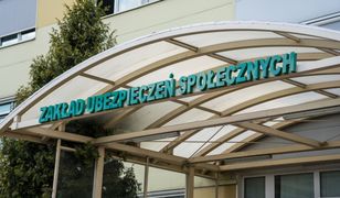 Umowy cywilnoprawne pod lupą. Algorytm wytypuje firmy do kontroli