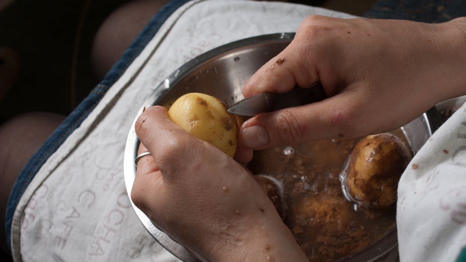 Zielone ziemniaki z pędami są do wyrzucenia. Odkrajanie "korzeni", które wypuściły, nic nie pomoże 