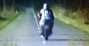 Szarża z finałem na masce. Szaleńczy pościg motocyklisty