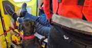 Ratownicy zadbali o pacjenta i jego psa. Piękna akcja z Gdyni