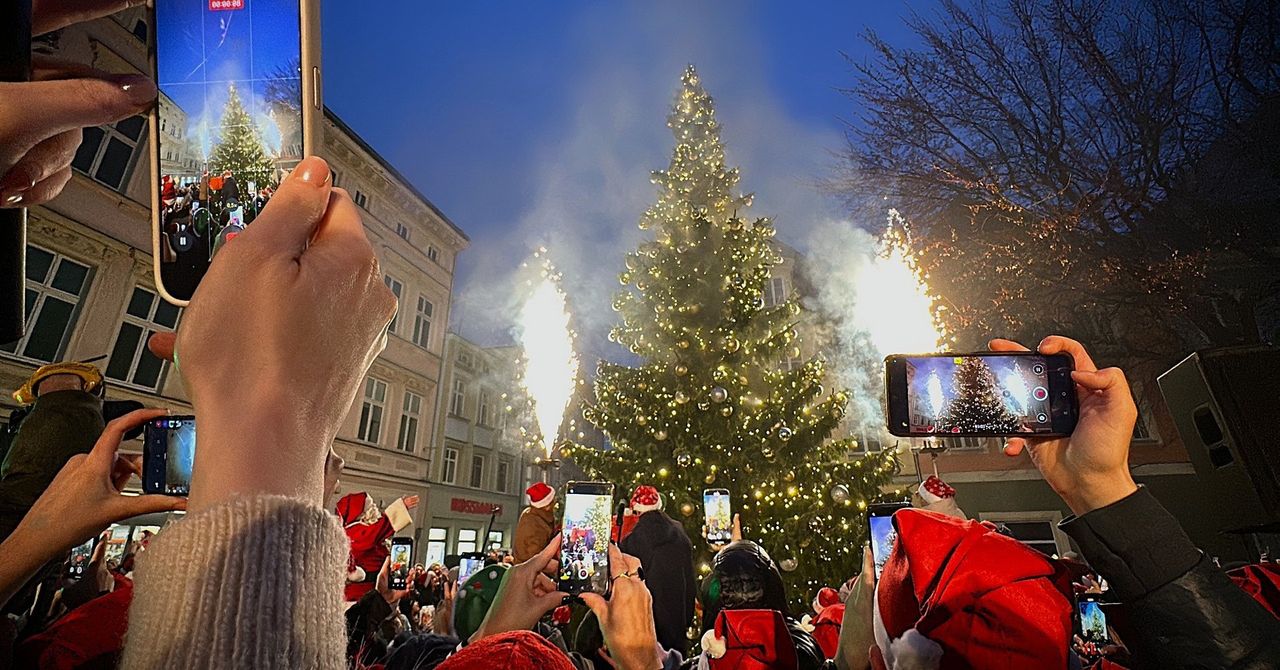 Zielona Góra: 12‑metrowa choinka rozbłysła na starówce