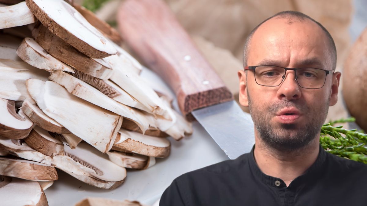 Doktor Skoczylas radzi, by jeść pieczarki nawet codziennie