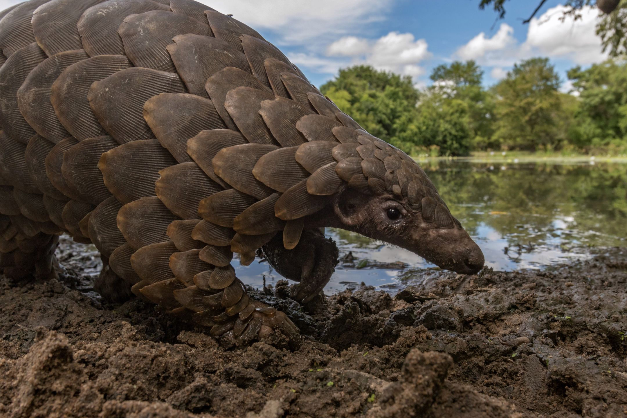 Znamy zwycięzców konkursu PDN Photo Annual. Troje Polaków wyróżnionych 8