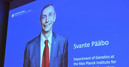 Nagroda Nobla z medycyny przyznana. Dokonał czegoś pozornie niemożliwego