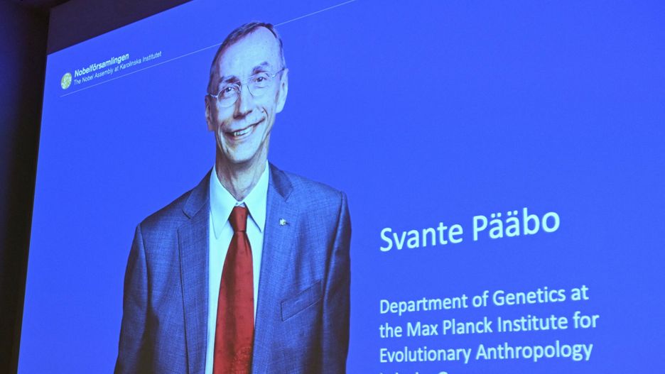 Svante Pääbo laureatem Nagrody Nobla z medycyny