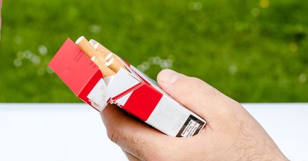 Chcą zakazać palenia w domu. Do resortu trafiła petycja