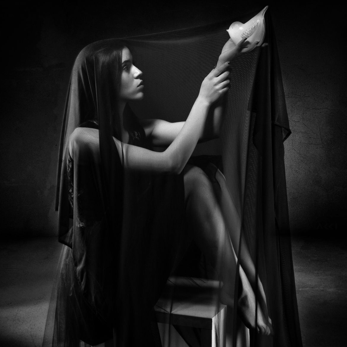Polacy nagrodzeni w konkursie MonoVisions Photography Awards 2018 18