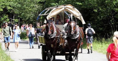 Zakopiańskie atrakcje coraz droższe. Turyści skarżą się na ceny