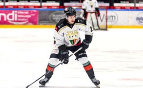 Polsat Sport 3 Hokej: Liga Mistrzów - mecz: GKS Tychy - Geneve-Servette HC