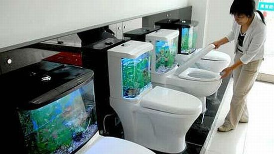 Akwarium w spłuczce 1