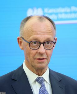 Ochrona cywilna w Niemczech? Prasa nie zostawia suchej nitki