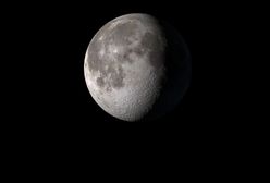 Fazy Księżyca – charakterystyka, wpływ na organizm