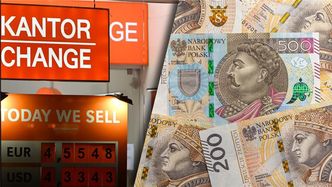 Tak reaguje złoty na decyzję RPP