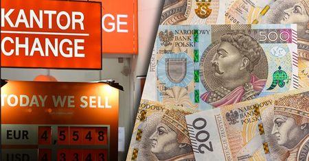 Tak reaguje złoty na decyzję RPP