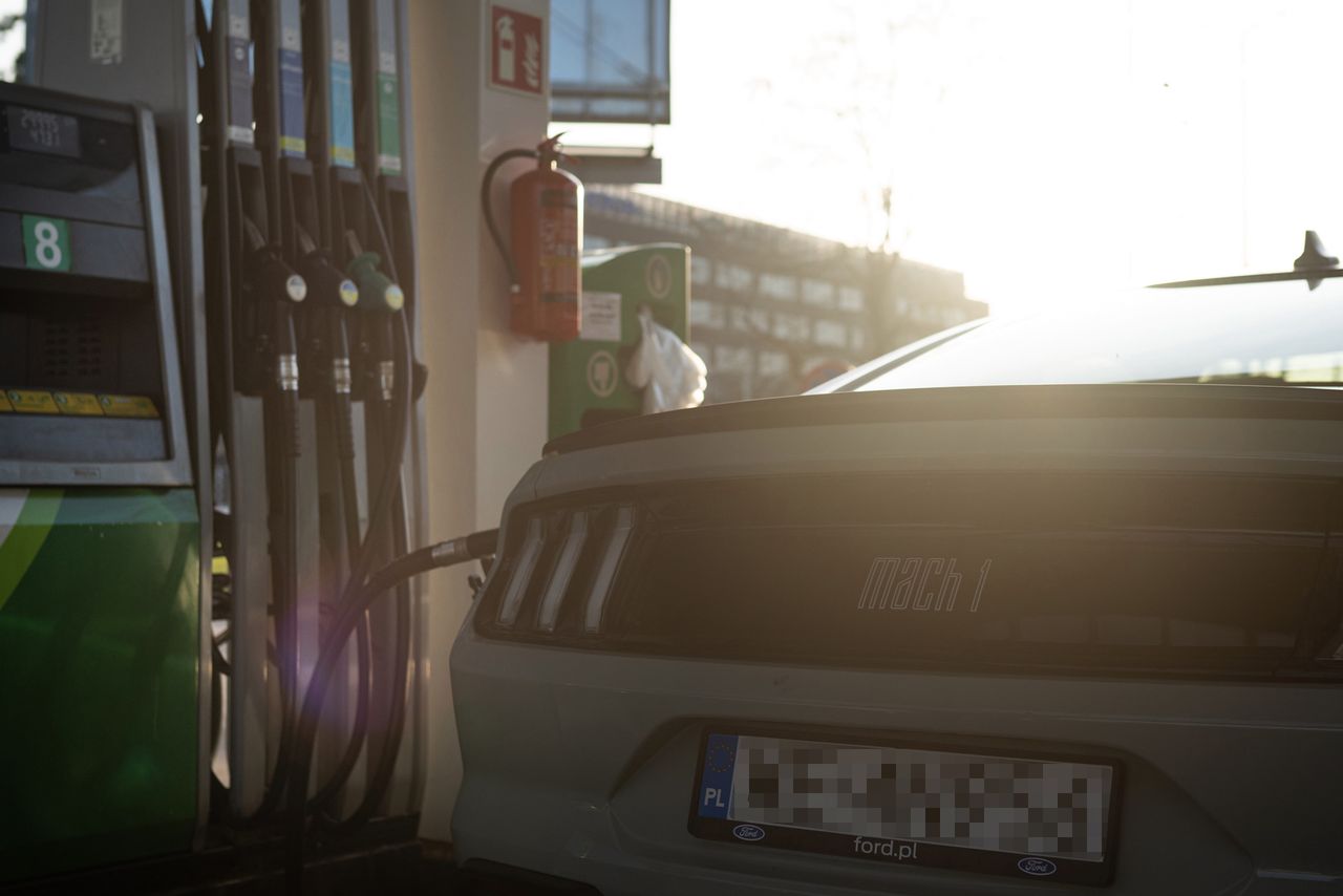 Ceny paliw na majówkę. Najnowsza prognoza to zła wiadomość dla kierowców