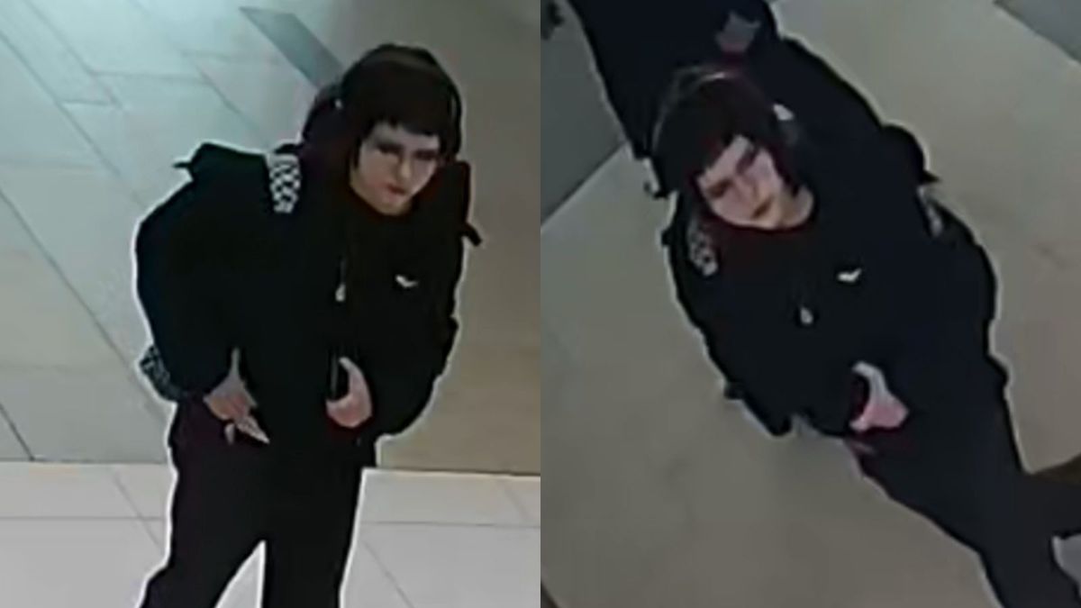 Policja z Poznania szuka kobiety