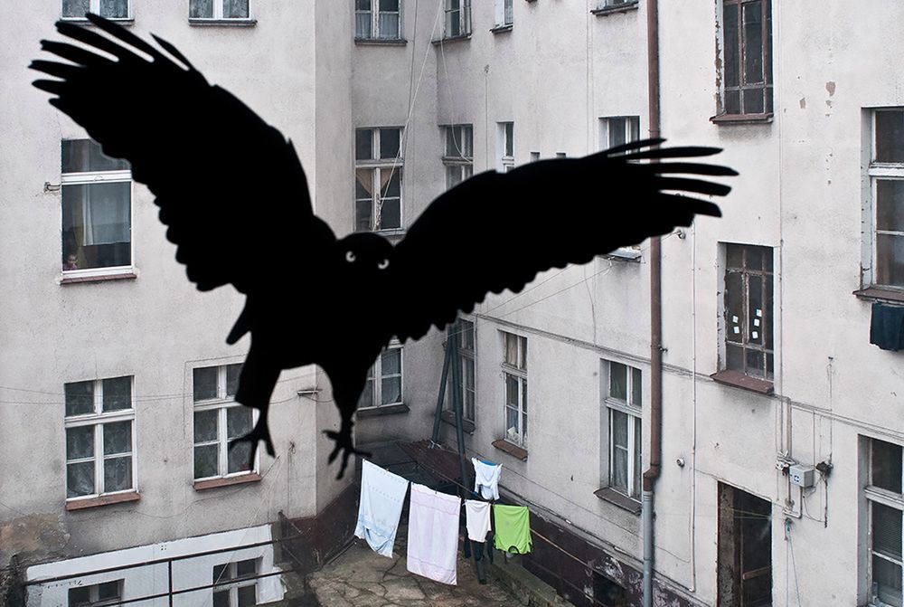 Tymon Markowski: „Nasza fotografia zmienia się razem z nami” 2