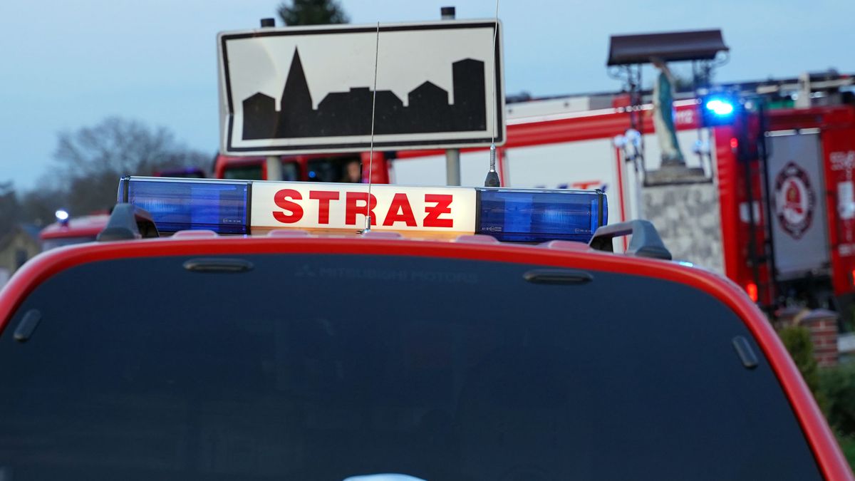 zdjęcie