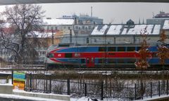 Czesi biją na alarm. Grzyb z Azji zagraża pociągom