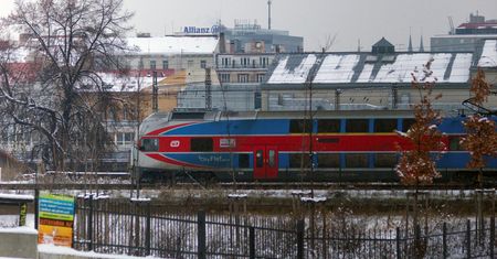 Czesi biją na alarm. Grzyb z Azji zagraża pociągom