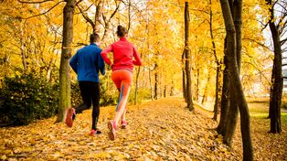 Toruń: Parkrun 2025. Tak biegaliście i maszerowaliście w lesie na Skarpie
