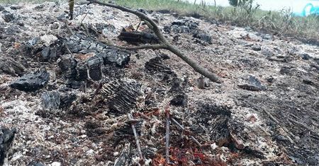 Ukradli meble sprzed siedziby Yacht Clubu. Po zakończonej imprezie je podpalili