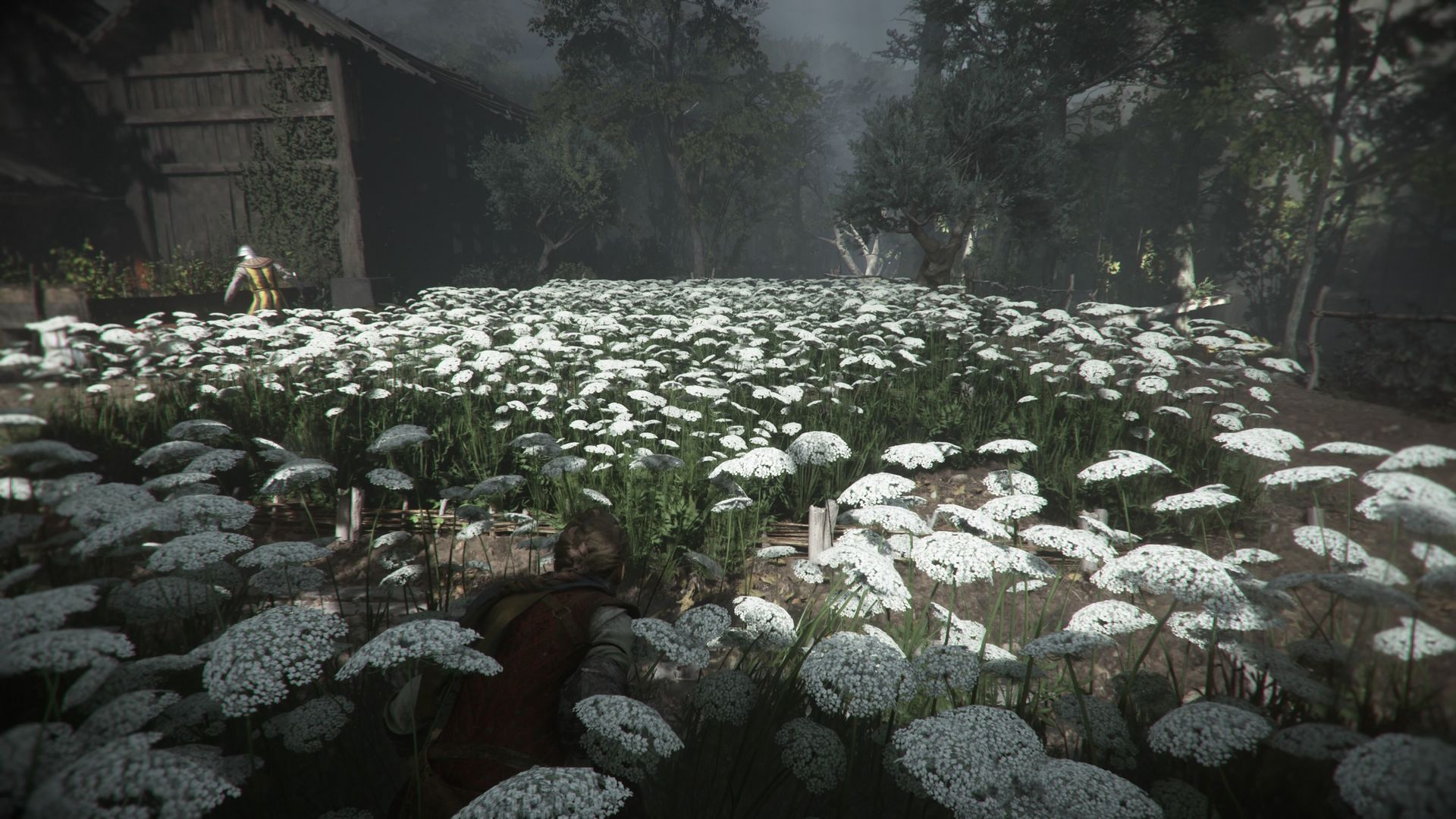A Plague Tale: Requiem na PS5