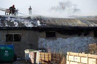 Strażacy dogaszają halę w Gdyni