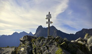 Zginął bóbr z Morskiego Oka. Spadł ze Szpiglasowej Przełęczy