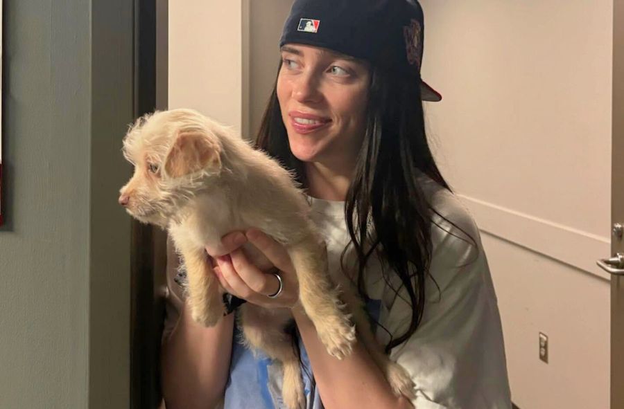 Ile zarobiła Billie Eilish w Krakowie?