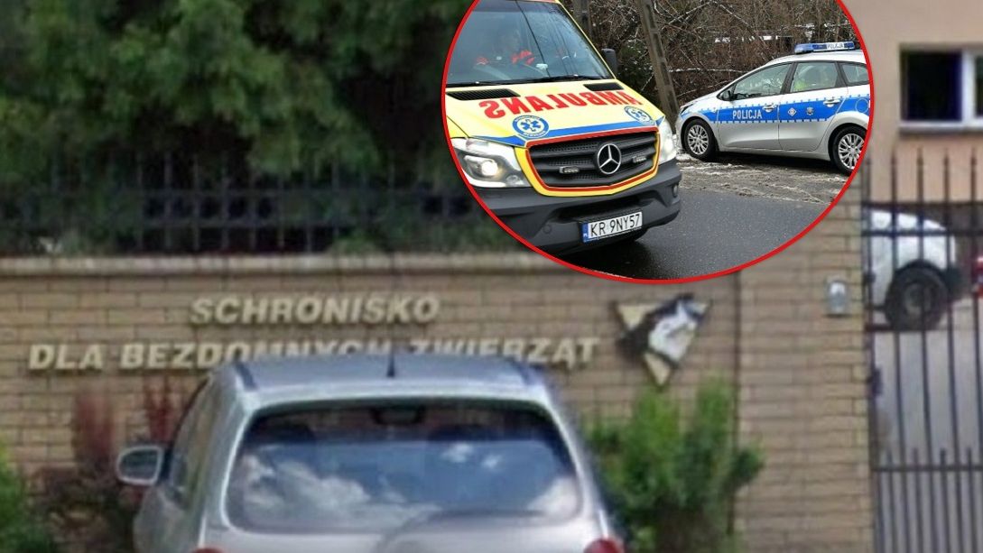 Schronisko w Kielcach - to tutaj rozegrał się dramat.