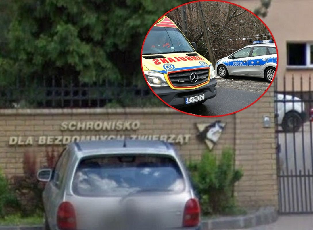 Schronisko w Kielcach - to tutaj rozegrał się dramat.