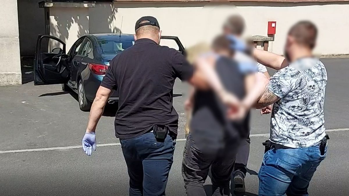 Udostępniali w internecie filmy ze skrajnie brutalną pornografią