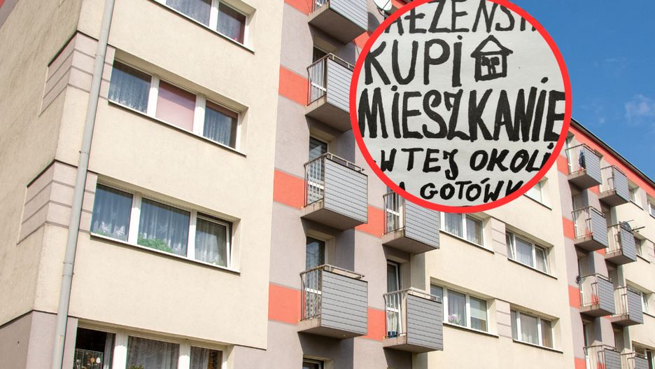 Flipperzy zaczynają stosować nowe metody / zdjęcie ilustracyjne