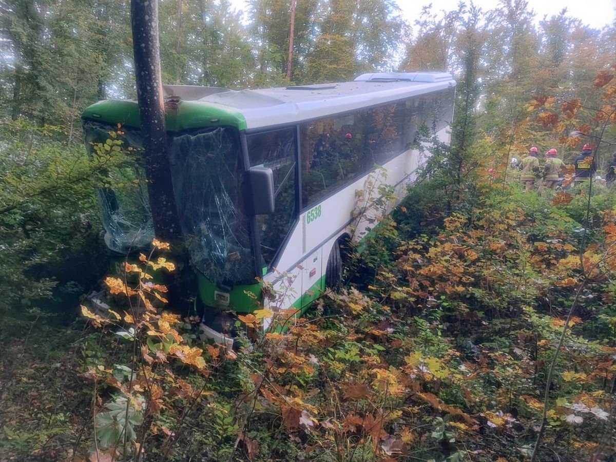 Dramat na drodze. Autobus z dziećmi zatrzymał się na drzewie